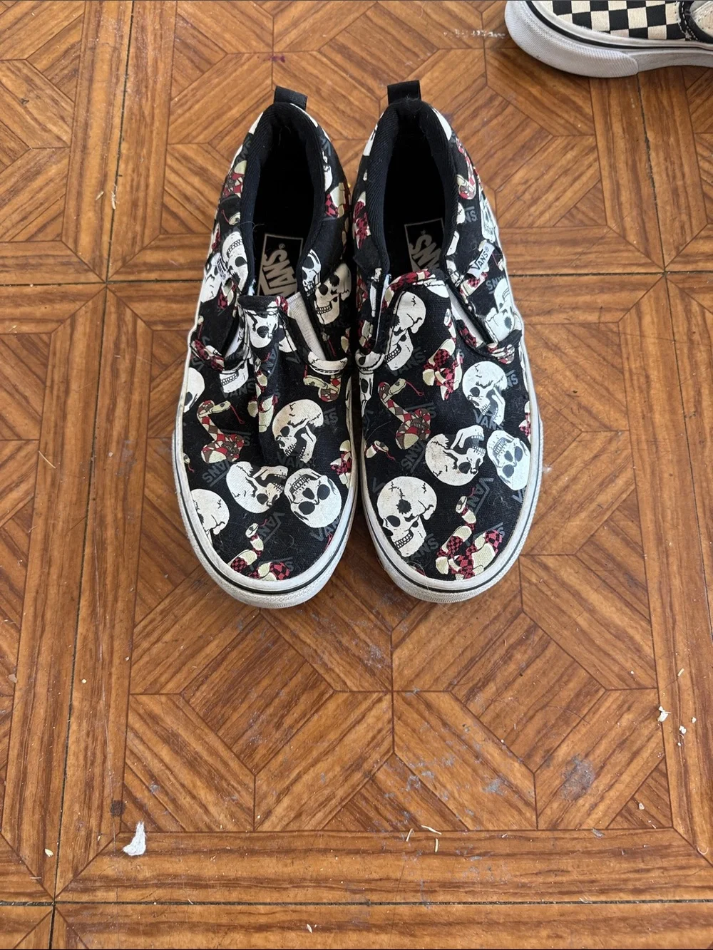 Vans Black Slip-On Sneakers with White Skulls and Red/Cream Snakes